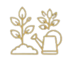 Activity icon