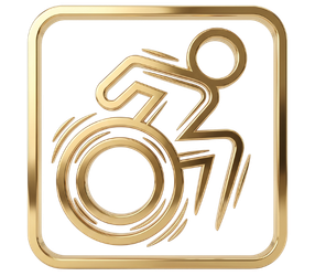 Accessibility icon